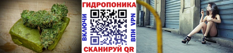 где купить наркоту  Балахна  даркнет какой сайт  Cannafood конопля 