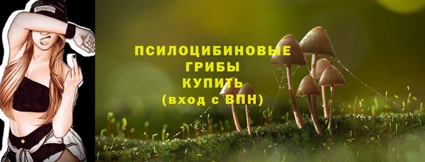 ешки Алзамай