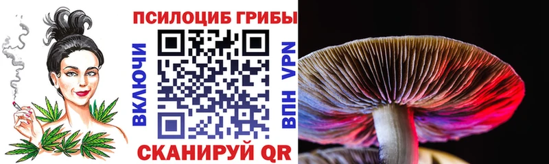 Галлюциногенные грибы MAGIC MUSHROOMS  сколько стоит  Балахна 